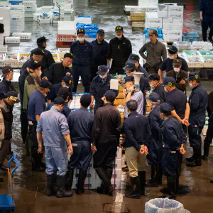 Sapporo Central Wholesale Market's Fisheries Department
