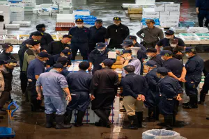 Sapporo Central Wholesale Market\'s Fisheries Department