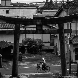 鶴山八幡宮の鳥居の前を通り過ぎる自転車