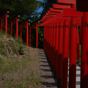 Torii at the secondary approach to Otaru Sumiyoshi Shrine