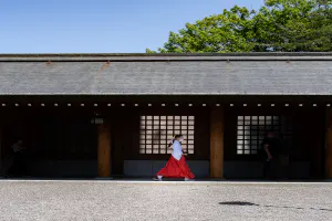 北海道神宮を歩く巫女