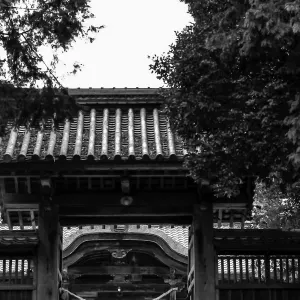 gate of Tsuruyama Hachimangu