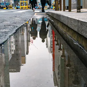 銀座の水溜りに映ったカップル