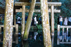 Mitarashi Pond at Kashima Jingu Shrine