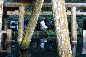 Mitarashi Pond at Kashima Jingu Shrine