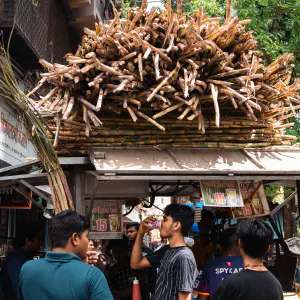 Sugarcane juice stand