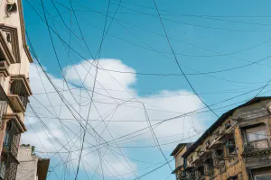 Entangled electrical wires