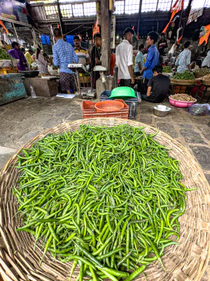 Colander full of green peppers