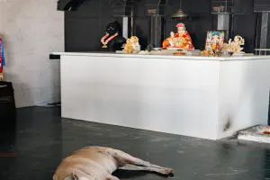 Dog sleeping in front of the altar