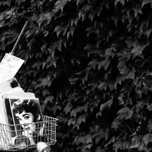 Audrey Hepburn in basket