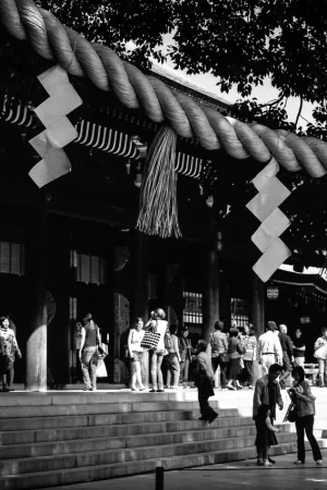 Sacred rope in Meiji Jingu