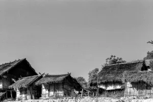 Thatched houses in village of Akha Tribe