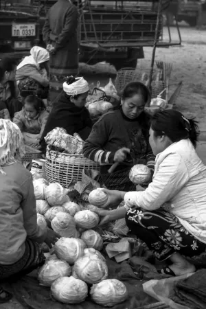 Woman selling cabbage