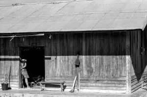 Wooden house with a zinc roofing in Muang Sing