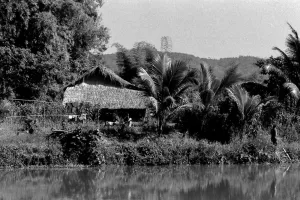 Thatched house near pond