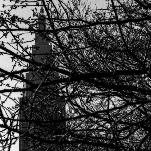 Building towering on the other side of tree branches