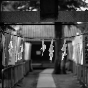 Paper hung from Torii