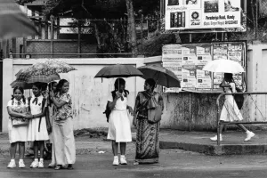 Women waiting at bus stop with putting umbrella up