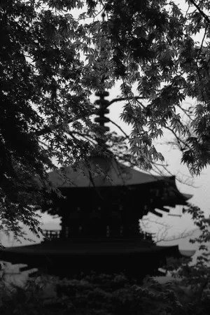 Three-storied pagoda in Okadera