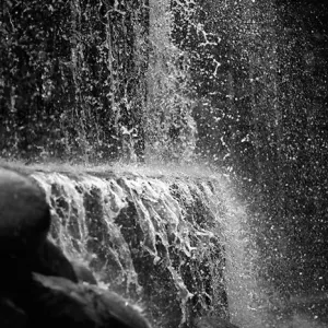 Waterfall In Shinjuku Central Park