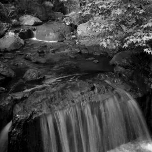 浅草寺境内の小さな滝
