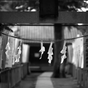 Paper hung from Torii