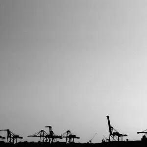 Silhouettes of gantry cranes