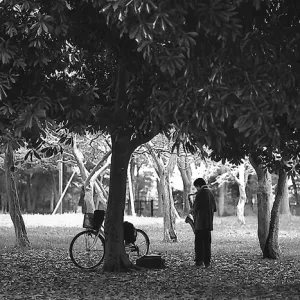 saxophonist playing in tree shade