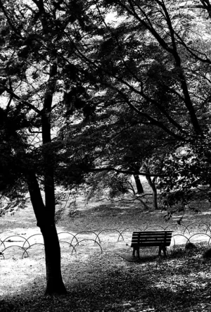 Deserted bench