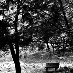 Deserted bench