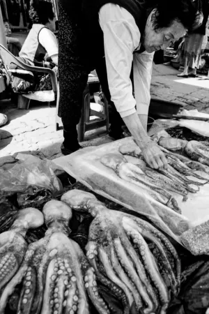 Older woman selling octopus in Sokcho
