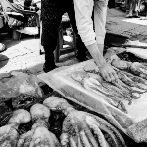 束草の魚市場で蛸を売る女