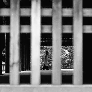 Figure walking on the other side of wooden fence