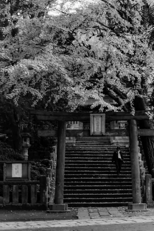 Torii of Komagome-Inari Jinja