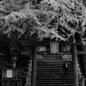 Torii of Komagome-Inari Jinja