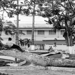 Boy relaxing on tree