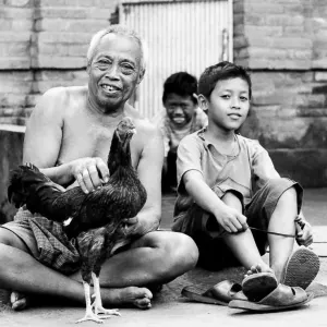Old man, boys and rooster