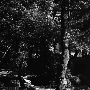 Man sleeping on bench