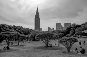 Tree shades in Shinjuku Gyoen Park