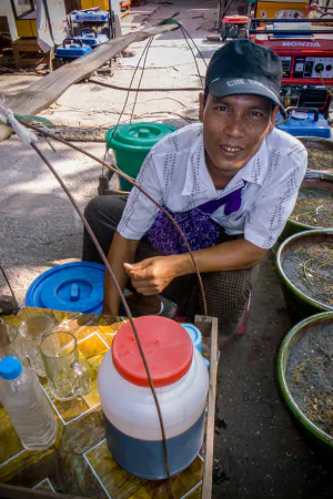 Hawker selling cold drinks