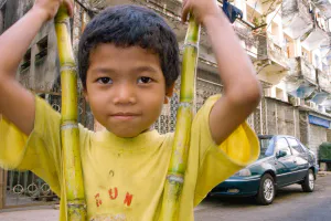 Boy holding sugar canes