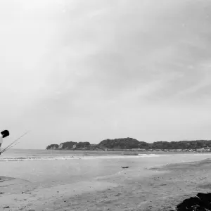 Drooping fishier walking on the edge of water