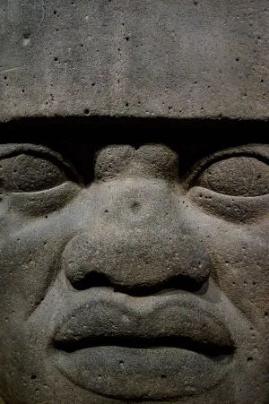 Olmec colossal head