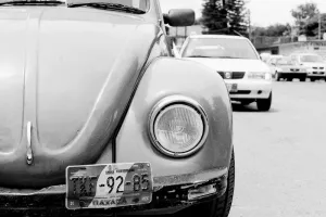 Car registration plate of beetle