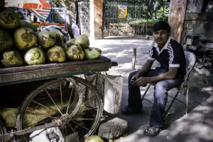 道端でココナッツを売る男