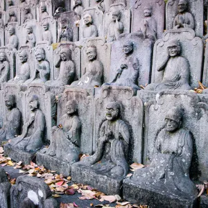 Five Hundred Arhat Statues in Daien-ji