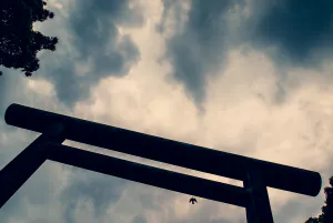 Torii and bird