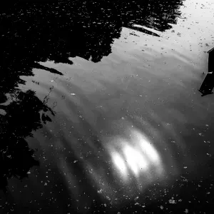 池の中の立て札