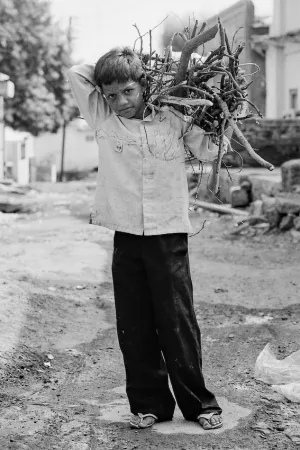 Boy carrying firewoods