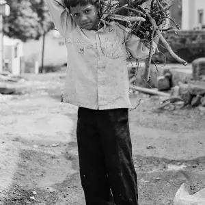 Boy carrying firewoods